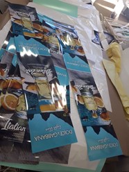 Бэклиты Дольче Габбана