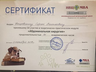 Фото компании ООО Кабинет ветеринарной медицины 13