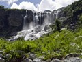 Фото компании  Магдамария 2