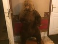 Фото компании  Медвежий угол, сауна 2
