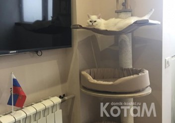 Фото компании  Мебель для кошек КотаМ 5