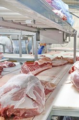 Фото компании ООО «Компас» 4