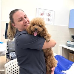 Фото компании  Ветеринарная клиника «Веда» 21