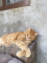 Фото компании  РОО «Экология человека» 2