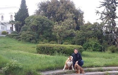 Дрессировка собак  в Ялте. Кинолог Руслан тел. +7(978)-01-777-18 Более подробную информацию о нас смотрите на сайте:  http://www.kinolog-rf.ru/