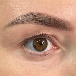 Фото компании  Добрый бровист 17