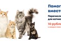 Фото компании ИП BookingCat 4