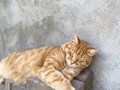 Фото компании  РОО «Экология человека» 2