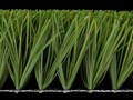Искусственная трава.
Искусственный газон для футбольного поля.
Декоративная трава для ландшафта.
https://grass.kiev.ua