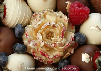 Фото компании  Berry Present 4