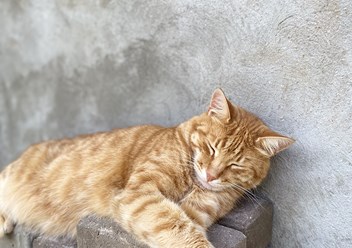 Фото компании  РОО «Экология человека» 2