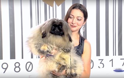 Фото компании  Прямой эфир 5