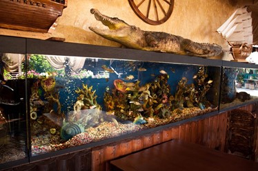 Фото компании  Рица, кафе 74