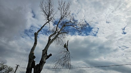 Фото компании  Drevanet 3