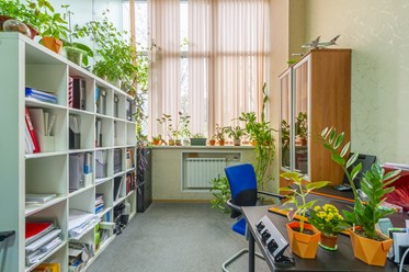 Фото компании  Катапульта 4