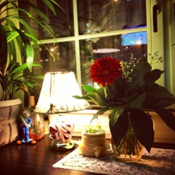 Фото компании  Посиделки, ресторан 17