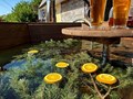 Фото компании  Алтай Баня 3