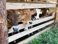 Фото компании  Экоферма 3