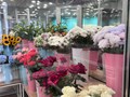 Фото компании  Цветочки 5