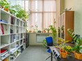 Фото компании  Катапульта 4