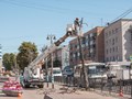 Удаление деревьев на улице Ленина города Курска