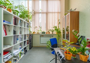 Фото компании  Катапульта 4