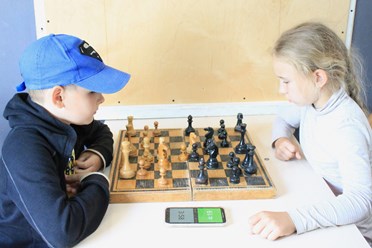 Турнир по шахматам