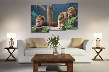 Фото компании ООО Велкамстрой 26