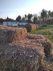 Фото компании  Пушкин-парк 4