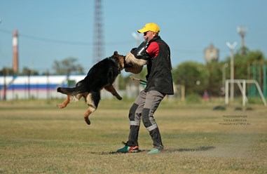 Фото компании  KARVIDEAN 9