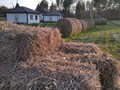 Фото компании  Пушкин-парк 4