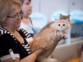 Фото компании ООО Клуб Любителей кошек "ФАВОРИТ" 5