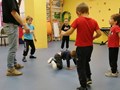 Фото компании ООО Dance Traffic 3
