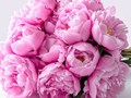 Фото компании ООО Premium Flowers 1