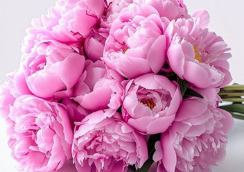 Фото компании ООО Premium Flowers 1