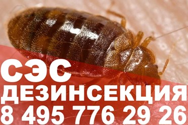 Фото компании ООО Профи - Дез 30