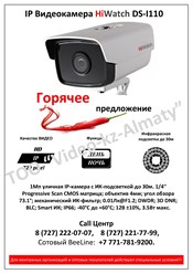 IP Видеокамера HiWatch DS-I110