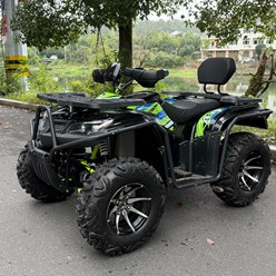 Электро квадроцикл RM650 BIG BULL