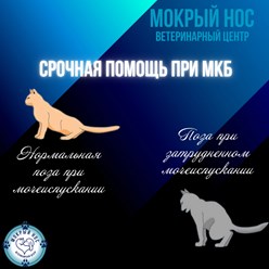 Фото компании ООО Мокрый нос 4