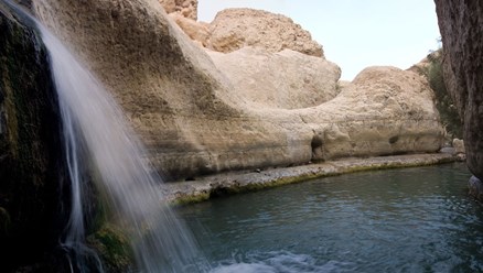 Фото компании ООО КЛАССИК ТРЭВЕЛ СПб 21