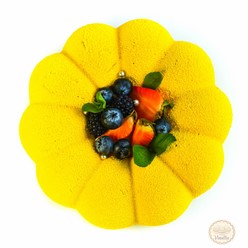 Фото компании  Vanilla 64