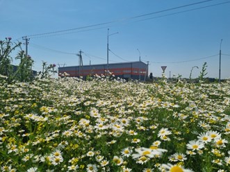 Фото компании АО Инжтехмаш 1