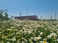 Фото компании АО Инжтехмаш 1