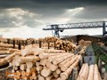 Фото компании  Белорецкий деревообрабатывающий завод 6