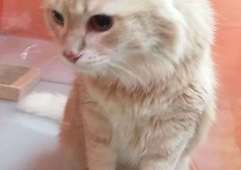 Фото компании  BookingCat 3