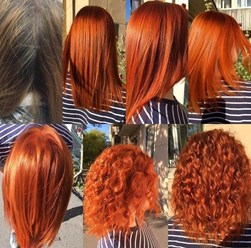 Фото компании  Авилона 4