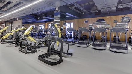 Фото компании  DDX Fitness 4