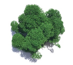 Фото компании  Greenery 9