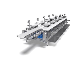 Фото компании  Jwe Honor 8