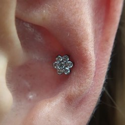 Фото компании  Wizards tattoo&piercing studio 3